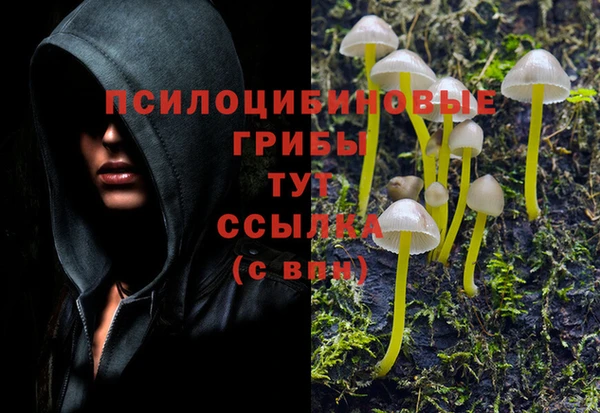 ALPHA PVP Рославль