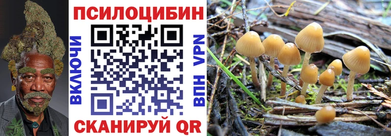 наркотики  Иннополис  Галлюциногенные грибы Psilocybe 